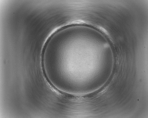 X0000066521326200603171208