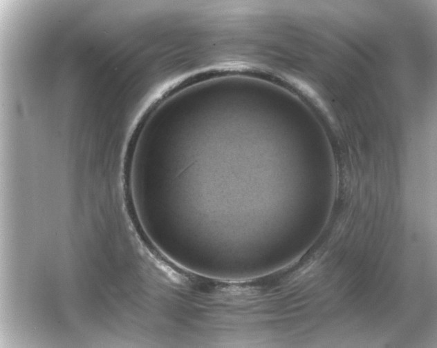 X0000066521327200603171208