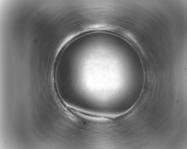 X0000066521328200603171208