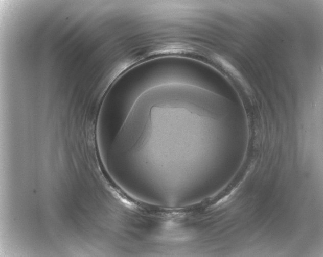 X0000066521329200603171208