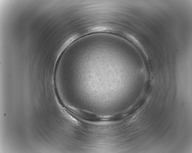 X0000066521330200603171208