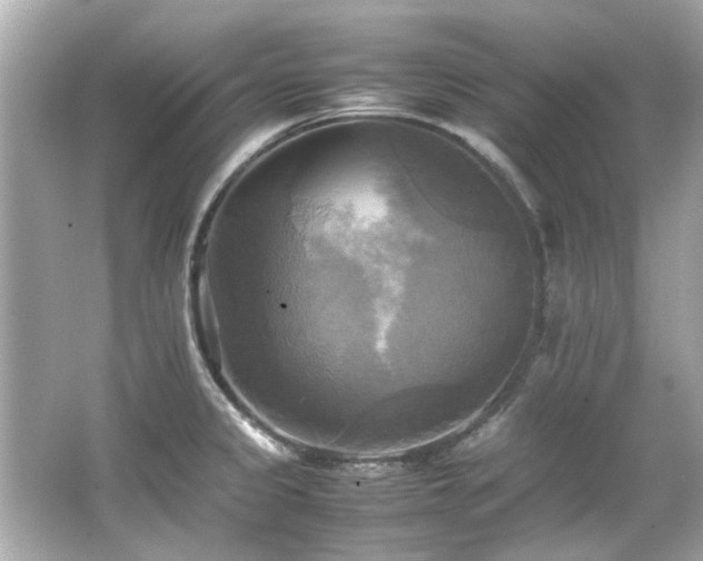 X0000066521333200603171208