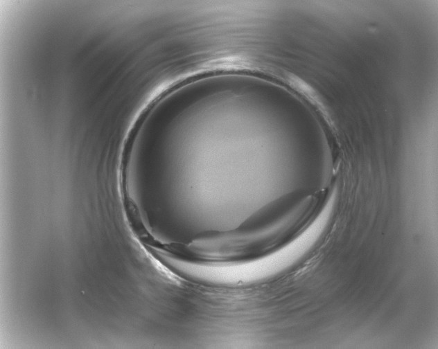 X0000066521334200603171208