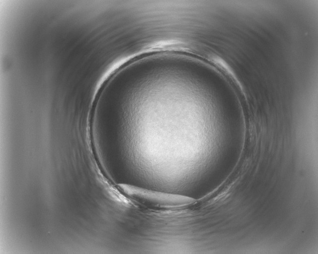 X0000066521336200603171208