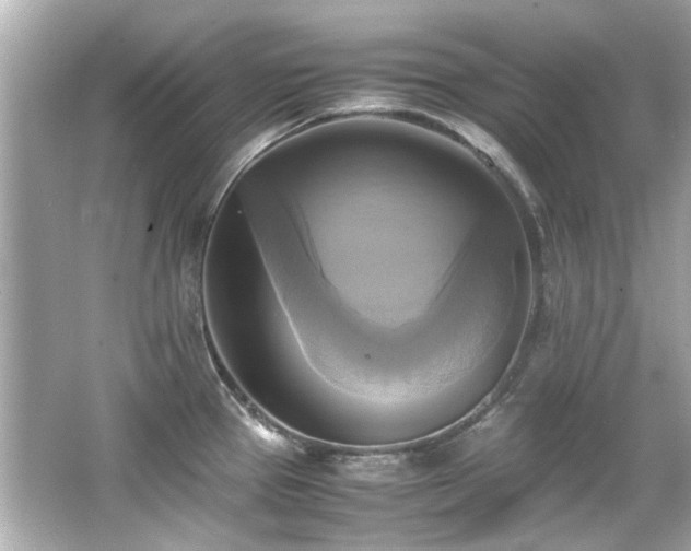 X0000066521337200603171208