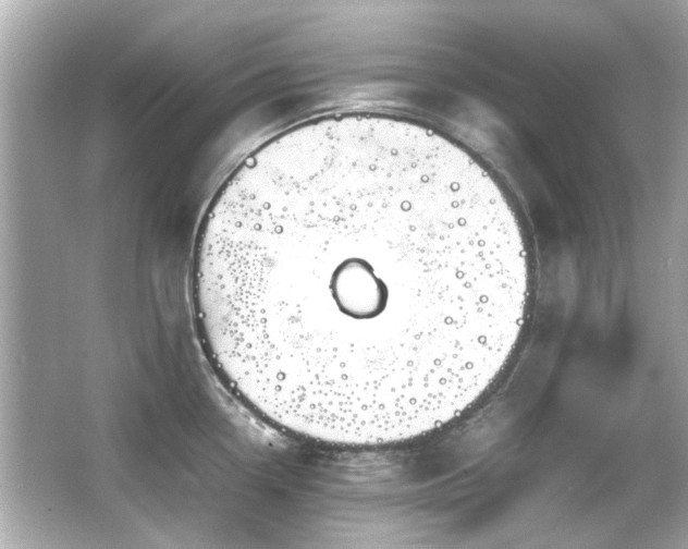 X0000066521338200603171208