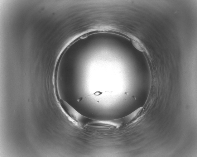 X0000066521343200603171208