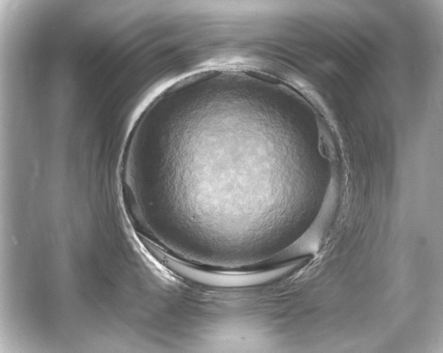 X0000066521344200603171208