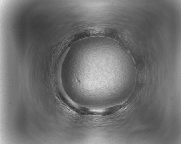 X0000066521345200603171207