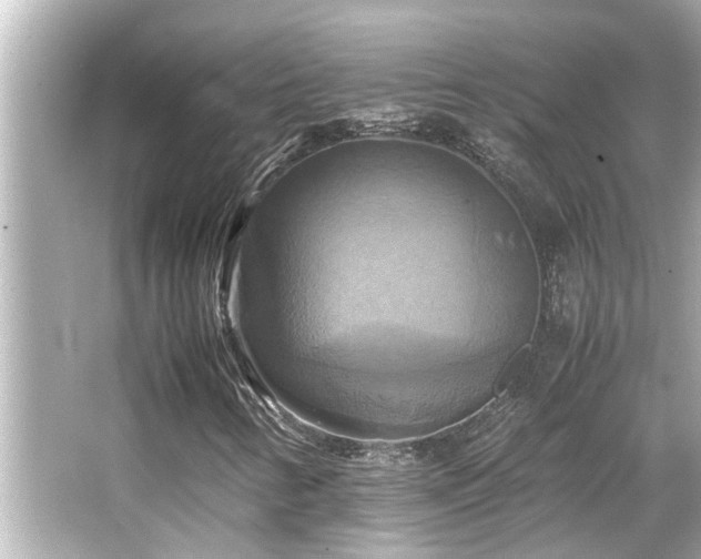 X0000066521346200603171207