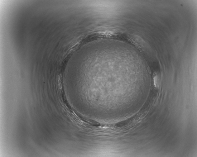 X0000066521347200603171207