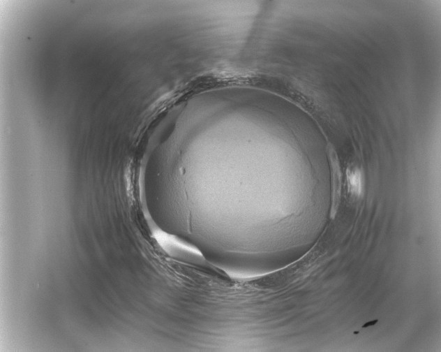 X0000066521348200603171207