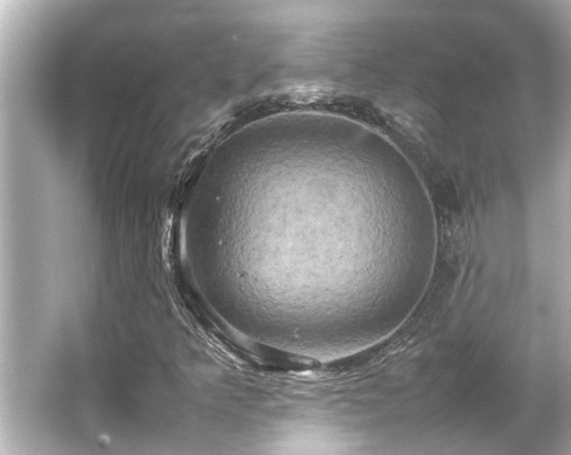 X0000066521349200603171207