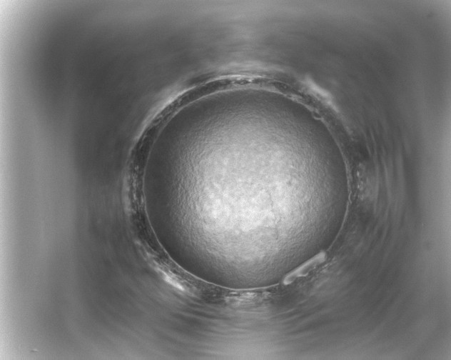 X0000066521352200603171207