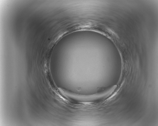 X0000066521353200603171207