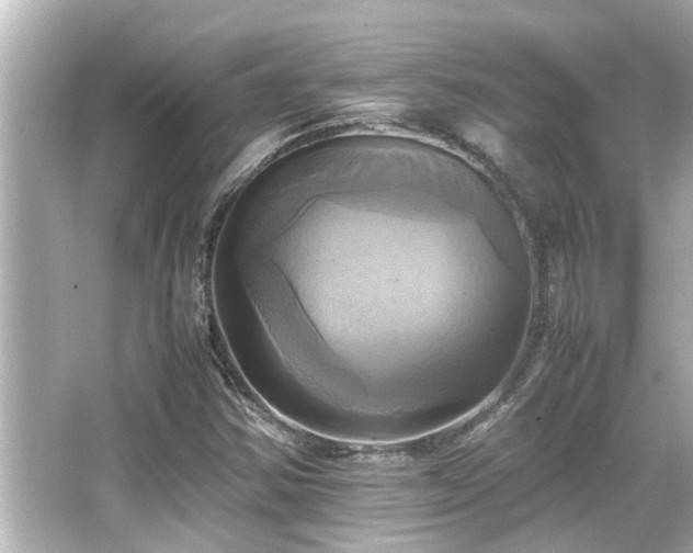 X0000066521354200603171207