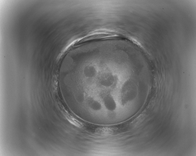 X0000066521355200603171207