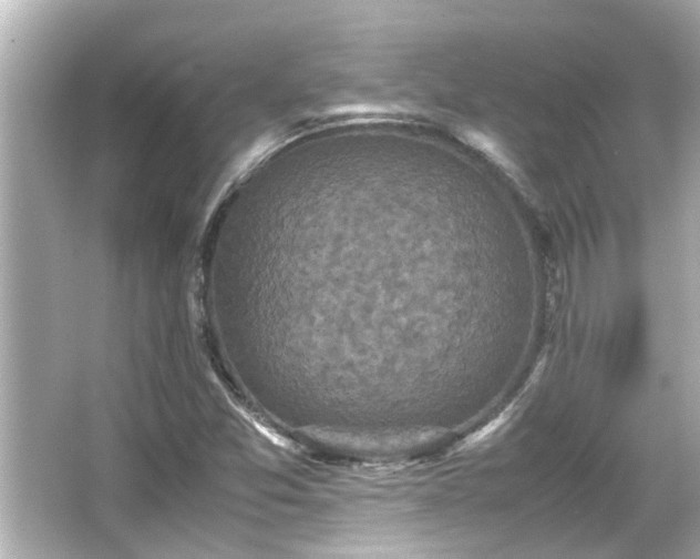 X0000066521357200603171207