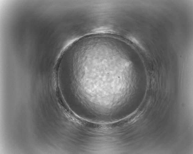 X0000066521358200603171207