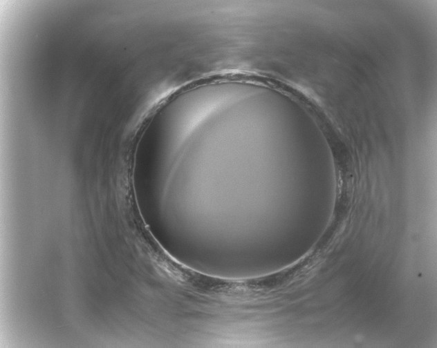 X0000066521359200603171207