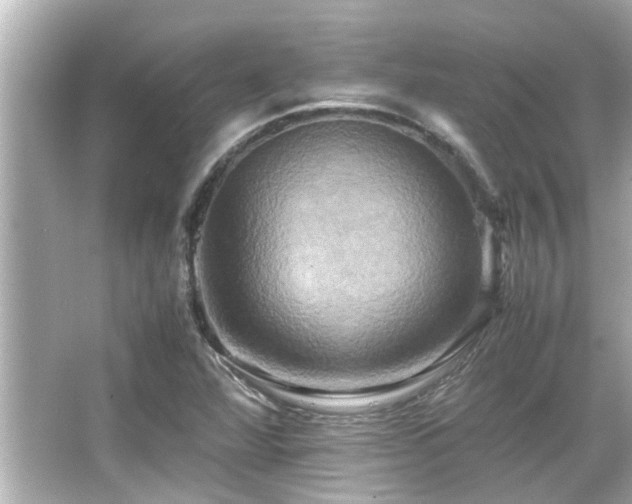 X0000066521360200603171207