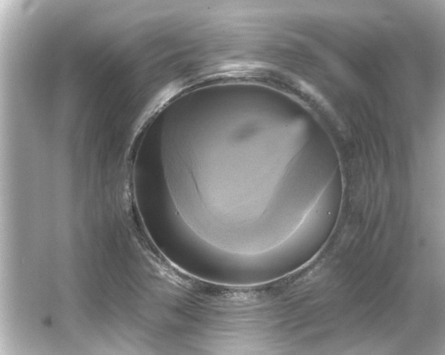 X0000066521362200603171207