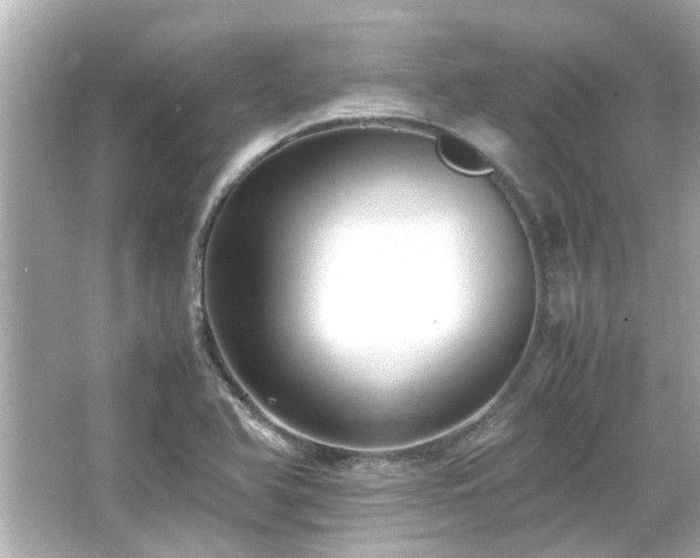 X0000066521366200603171207