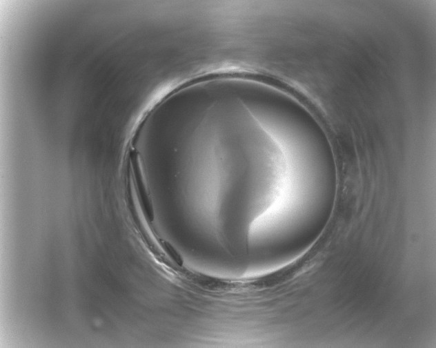 X0000066521367200603171207