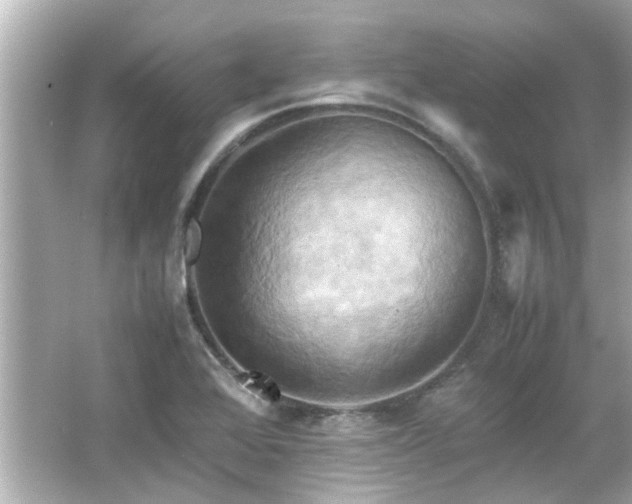 X0000066521368200603171207