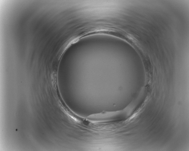 X0000066521369200603171207