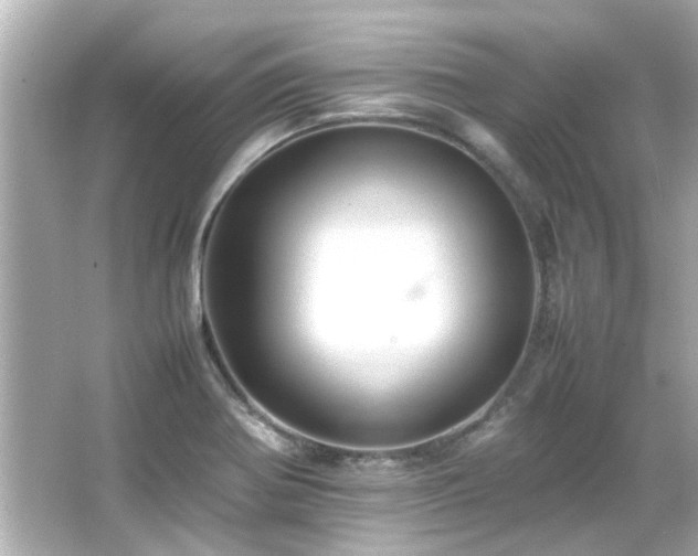 X0000066521370200603171207