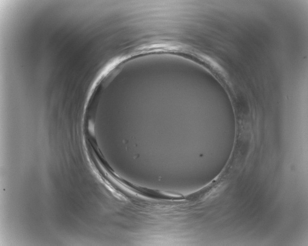 X0000066521373200603171207