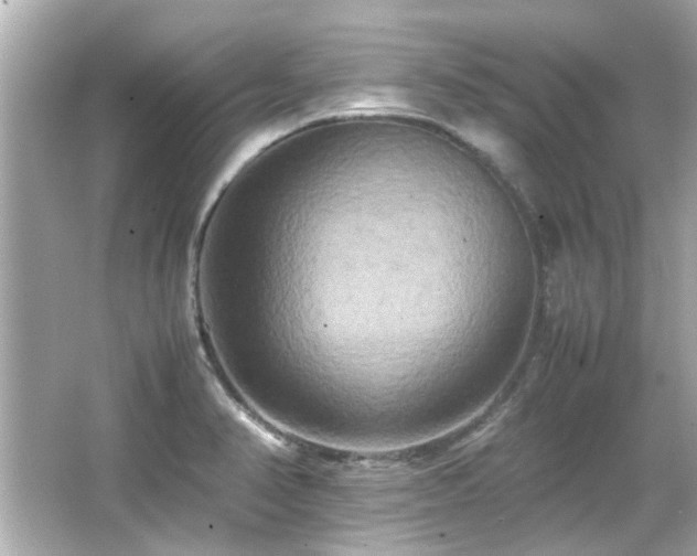 X0000066521374200603171207