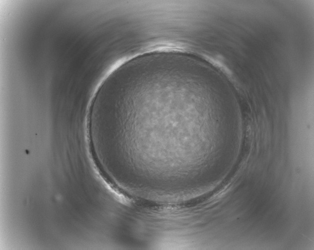 X0000066521375200603171207