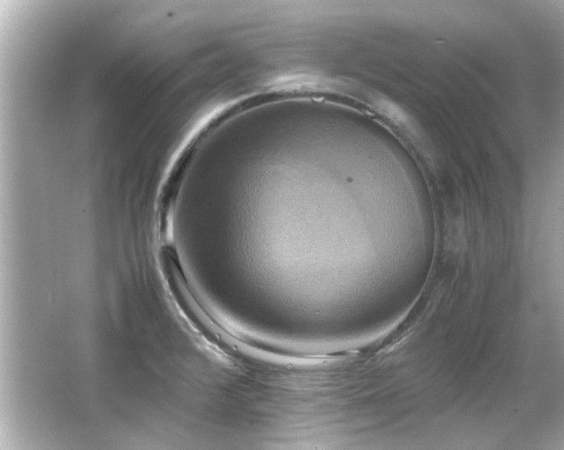 X0000066521376200603171207