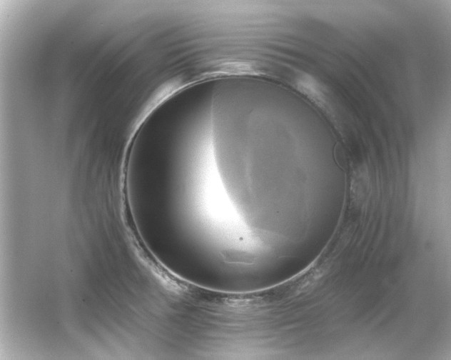 X0000066521378200603171207