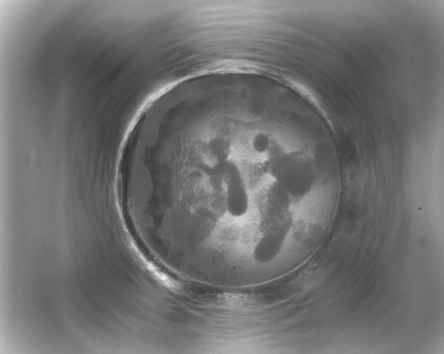 X0000066521379200603171207