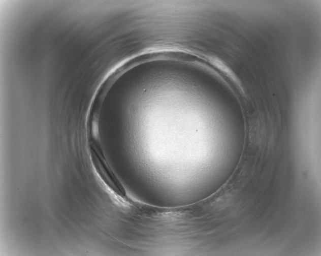 X0000066521380200603171207