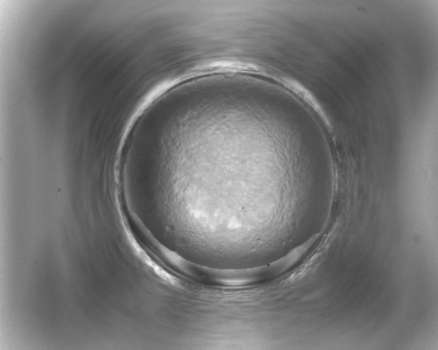 X0000066521381200603171207