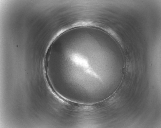 X0000066521382200603171207