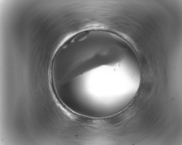 X0000066521383200603171207