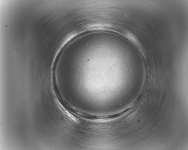 X0000066521384200603171207