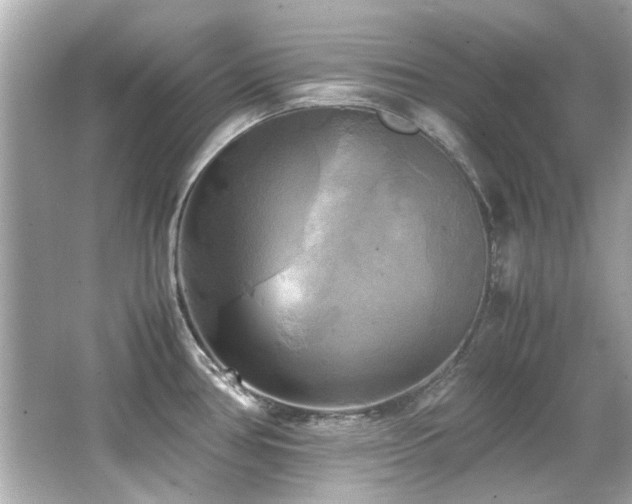 X0000066521386200603171207