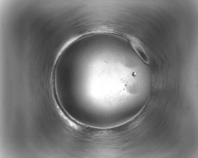 X0000066521387200603171207