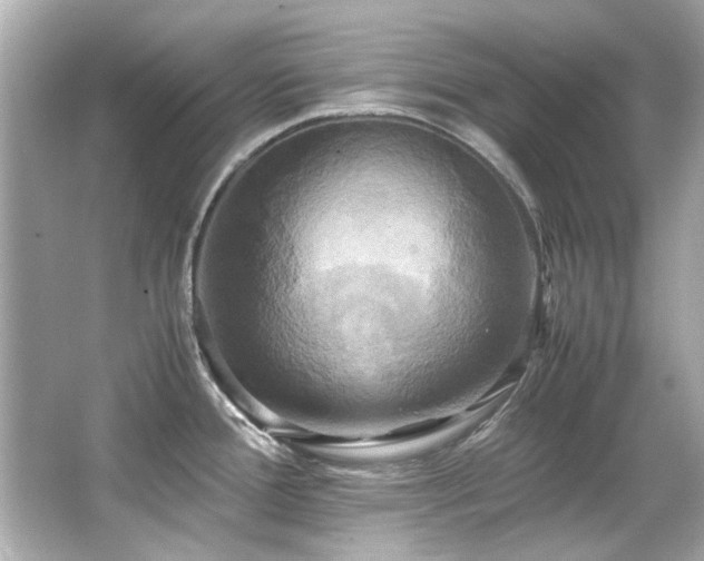 X0000066521388200603171207