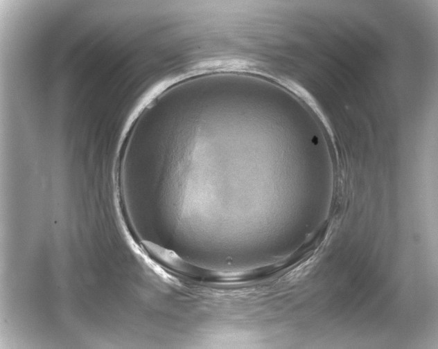 X0000066521389200603171207