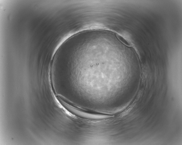 X0000066521390200603171207