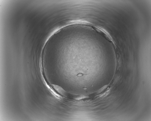 X0000066521391200603171207