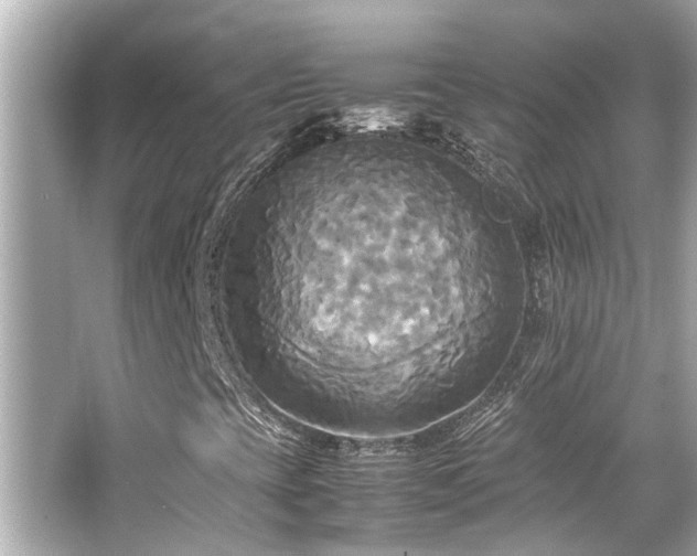 X0000066521393200603171206