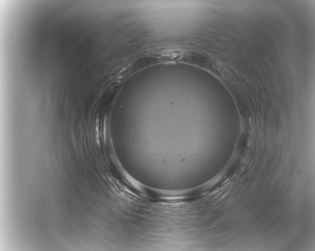 X0000066521394200603171206